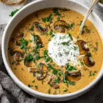 Hungarian Mushroom Soup
