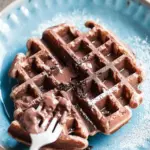 Brownie Waffle