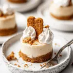 No Bake Mini Biscoff Cheesecakes