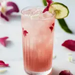 Coconut Hibiscus Breeze Mocktail: Your Tropical Escape Awaits 3 Coconut Hibiscus Breeze Mocktail